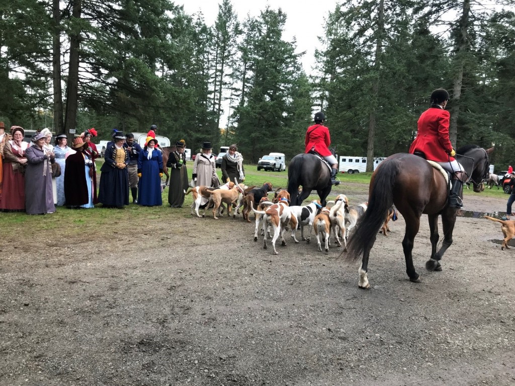 Hounds at the hunt