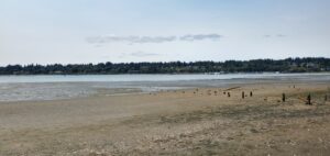 WRS Summer Picnic, by the Beach.